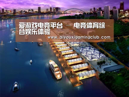 案例展示八(图1)