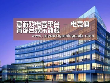 案例展示五