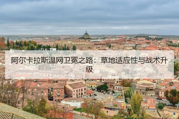 a-er-ka-la-si-wen-wang-wei-mian-zhi-lu-cao-di-shi-ying-xing-yu-zhan-shu-sheng-ji-3-443.jpg
